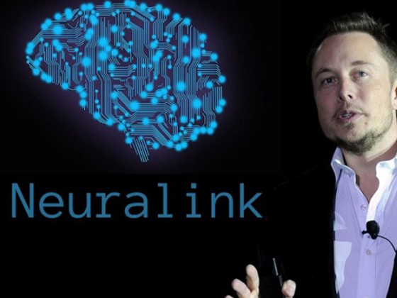 Компания Neuralink впервые имплантировала чип в мозг обезьяны